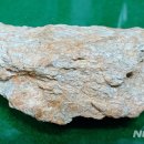 ㈜천지산업개발 이미지