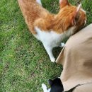 아니타 홈 이미지