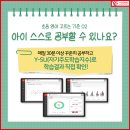 성지초 이미지