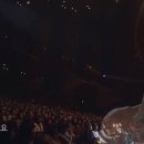 베지아웃 이미지