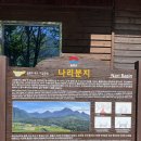 산들산채식당 | [울릉도,독도여행6] 나리분지 산채비빔밥 맛집 추천/ 나리분지 방문후기(내돈내산)