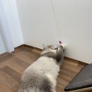 샤론민박 이미지