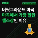 핫한 그 회사, 진짜 잘 나갈까 | 버핏그라운드 마곡 헬스장, 마곡에서 가장 핫한 이유