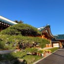 관저경희한의원 이미지