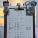 틈노리 | [정발산] 라페스타 1인 왁싱샵 "왁싱노리" 두번째 브라질리언 왁싱 후기&amp;관리까지