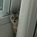 햇살가득동물병원 이미지