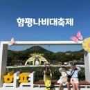 나비그네 | 🌸 함평나비축제 후기 | 광주 근교 아이랑 가볼만한 곳 추천