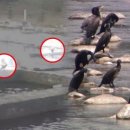 지정낚시터 이미지