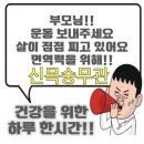 신목숭무관 이미지