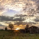 안성목장 이미지