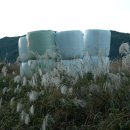 섬강축산 이미지