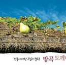 방곡도깨비 마을 이미지