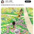 걷는사람들 이미지