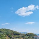 통영생태숲(입구) 이미지