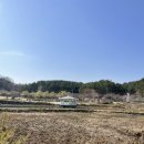 선암호수공원 축구장 화장실 이미지