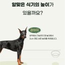 멍해묘해 이미지