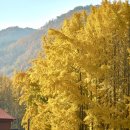 도리정원 이미지