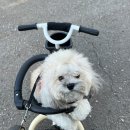 비비안살롱 이미지