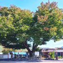 원용복마을 이미지