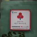 부안토종민물장어 이미지