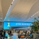 122 | 아시아나항공 인천공항 2터미널 카운터 라운지 OZ122 기내식 후기