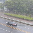폭우가 한국 남부를 강타 이미지