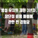 주례초등학교(병설유치원 포함) | 병설 유치원 재원 3년차, 장단점 비용 돌봄에 관한 찐 경험담