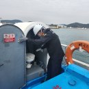 통영해양경찰서 이미지