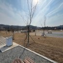 대율저수지 오토캠핑장 이미지