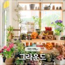 그라운드 - 대전 도안동 브런치 카페 | 샌드위치 맛집...감성 공간, 햄치즈 할라피뇨 샌드위치 후기