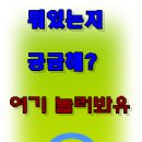김동일농장 | 표고버섯 재배방법-C동 재배사 1차 공작업(갈변촉진작업)