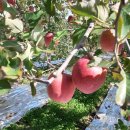 플러스농장2 이미지