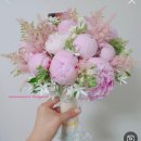 코코네 강아지 미용실 | 2022 4월 취미부자 권사샤 일상(上).zip