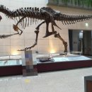 지질박물관 | [대전 가볼만한 곳] 아이와 함께 다녀온 대전 지질박물관 후기 (공룡 좋아하는 아이 추천 장소)