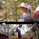 김인석 농장 이미지