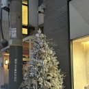 가볼가 | 💍 웨딩링 | 누니 NOONEE 한남본점