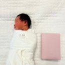 평화정형외과의원 | 강서구 산후조리원: 미래아이굿맘스 조리원 추천 이유