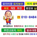 묘지119