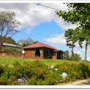 통나무산장 이미지