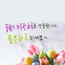 멋진 하루 이미지