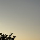 KOREA25 | Oasis Live ‘25 South Korea | 2025 오아시스 내한 공연 후기