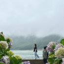 저구항민박 이미지