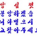 독스캣 강아지고양이 수원점 이미지