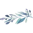 Gladiator 2 이미지