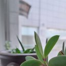 마두도서관 동아리방 이미지