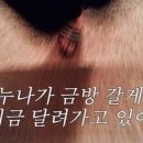 이한량통닭 - 용인시 처인구 양지로119번길 8-5 | 이한량통닭