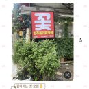 와우푸룻 | 날씨가 좋으면 기부니