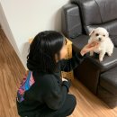 행복밀