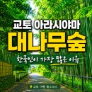 교토 아라시야마 대나무숲 후기