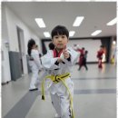 베스트 연세 태권도 이미지